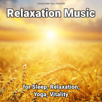 Relaxing Music & Yoga & Baby Music - #01 Relaxation Music for Sleep, Relaxation, Yoga, Vitality