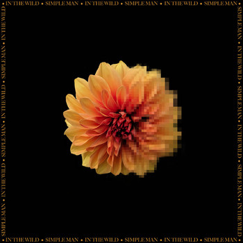 Simple Man - In the Wild