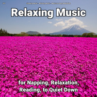 Sleeping Music & Relaxing Music & Music for Deep Meditation - #01 Relaxing Music for Napping, Relaxation, Reading, to Quiet Down
