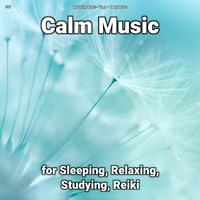 Relaxing Music & Yoga & Baby Music - #01 Calm Music for Sleeping, Relaxing, Studying, Reiki
