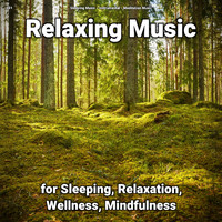 Sleeping Music & Instrumental & Meditation Music - #01 Relaxing Music for Sleeping, Relaxation, Wellness, Mindfulness