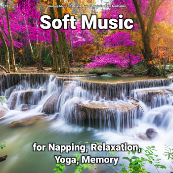 Sleeping Music & Relaxing Music & Music for Deep Meditation - #01 Soft Music for Napping, Relaxation, Yoga, Memory