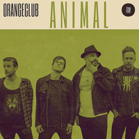 OrangeClub - Animal
