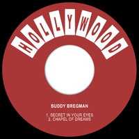 Buddy Bregman - Secret in Your Eyes