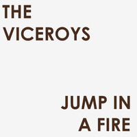 The Viceroys - Jump in a Fire