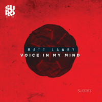 Matt Lawry - Voice in My Mind