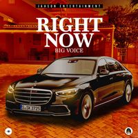 Big Voice - Right Now