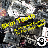 Skin Teeth - Marbled Carpet