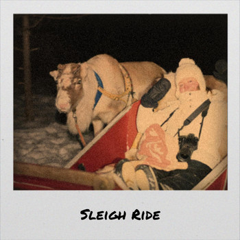 Various Artist - Sleigh Ride