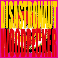 Disastronaut - Woodpecker