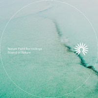 Nature Field Recordings - Sound of Nature