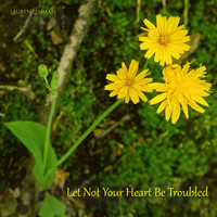 Lauren Lehman - Let Not Your Heart Be Troubled