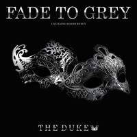 The Duke - Fade To Grey (USA Radio Remix)