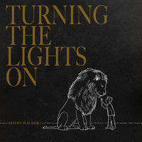 David Walker - Turning The Lights On