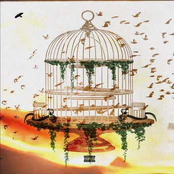 Plato - Regions (Explicit)