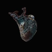 Seamus Blake featuring Tony Tixier, Florent Nisse and Gautier Garrigue - Guardians of the Heart Machine
