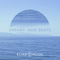 Tyler Tuohy - Dreamy Indie Beats