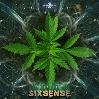 Sixsense - Cannabinoid
