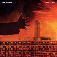 Jon Boden - Bee Sting