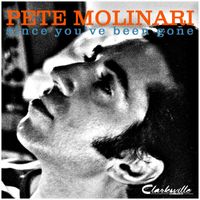 Pete Molinari - Since You've Been Gone