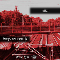MSKD - Entropy and Versatile