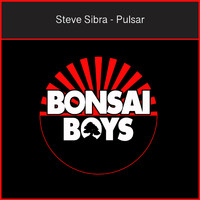 Steve Sibra - Pulsar