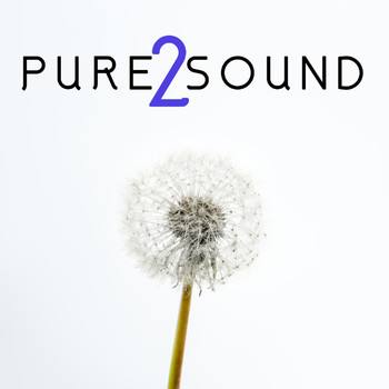 Various Artists - Pure Sound 2