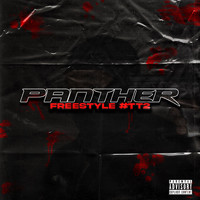 Panther - Freestyle #TT2 (Explicit)