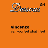 Vincenzo - Can You Feel What I Feel