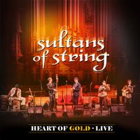 Sultans of String - Heart of Gold (Live)
