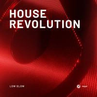 Low Blow - House Revolution
