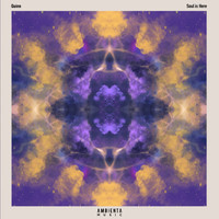Quinn - Soul is Here