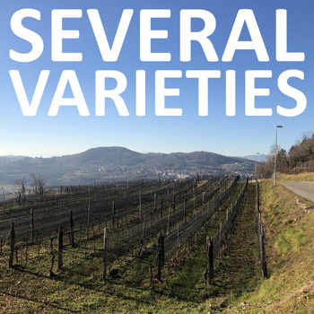 Various Artists - Several Varieties
