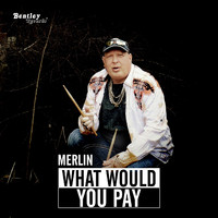 Merlin - What Would You Pay