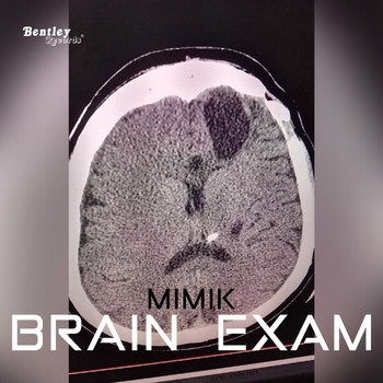 Mimik - Brain Exam
