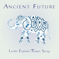 Ancient Future - Lustful Elephants Trumpet Spring (Live 6-12-2021)