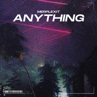 Merplexit - Anything