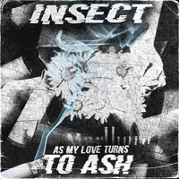 inseCT - As My Love Turns To Ash
