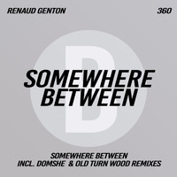 Renaud Genton - Somewhere Between