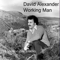 David Alexander - Working Man