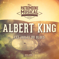 Albert King - Les idoles du blues : Albert King, Vol. 1