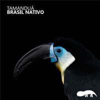 Tamanduá - Brasil nativo