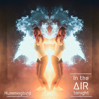 Hummingbird - In the Air Tonight