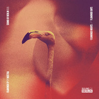 Mastra - Flamingo EP