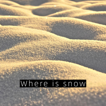 SILVA - Where is snow