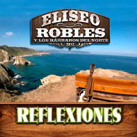 Eliseo Robles - Reflexiones