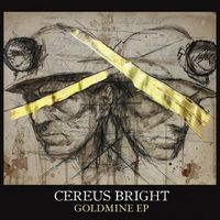 Cereus Bright - Goldmine