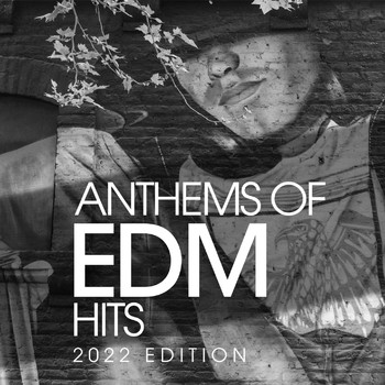Various Artists - Anthems Of Edm Hits 2022 Edition
