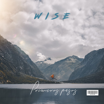 Wise - Primeros Pasos