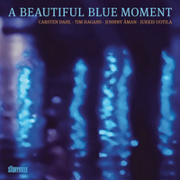 Various Artists - A Beautiful Blue Moment